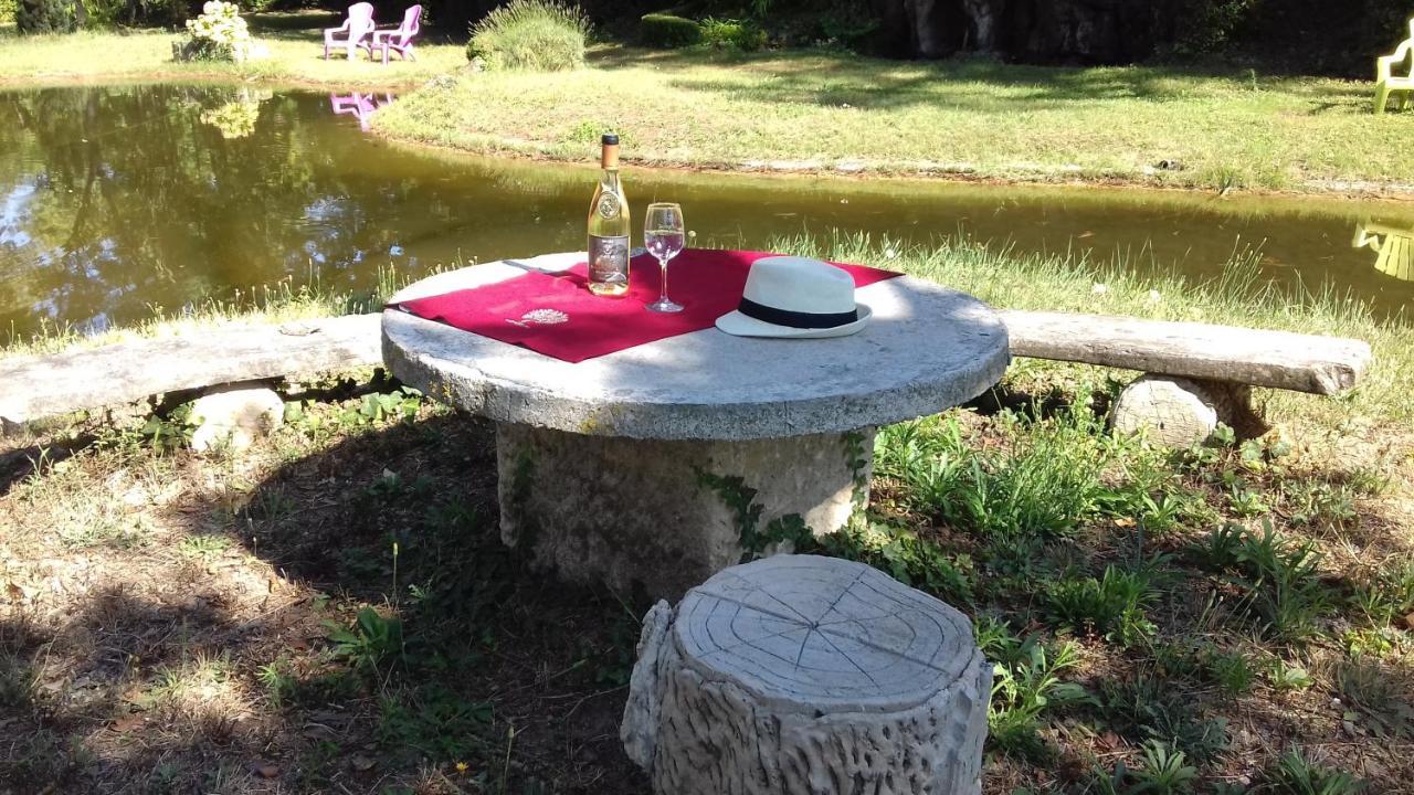 Domaine De Bellevue Chambre D'Hotes Beaumes-de-Venise Buitenkant foto